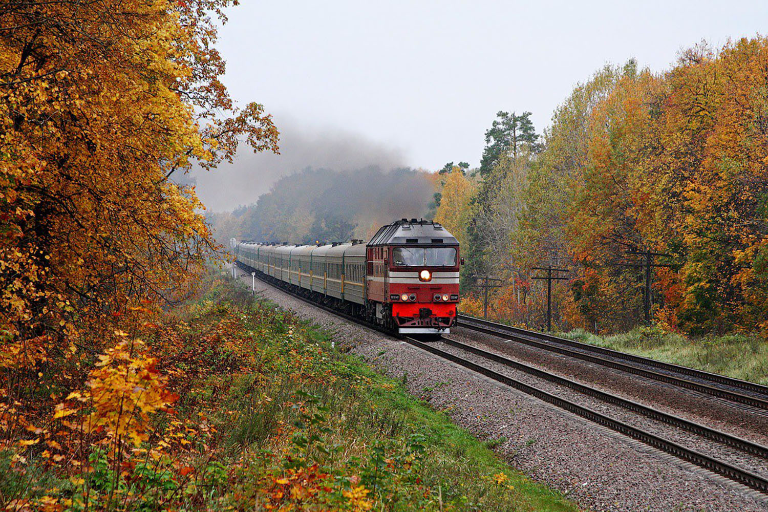 Движение поезда по рельсам. Железная дорога. Пейзаж с поездом. Российские поезда. Поезд на фоне природы.